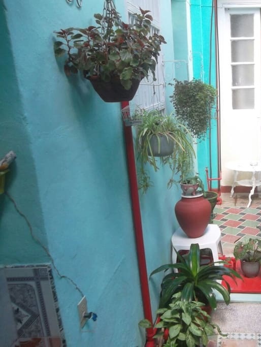 'Interior patio' Casas particulares are an alternative to hotels in Cuba.